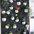 Cute Plant Fridge Magnets Decoration