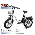 Fashion Simple Electric Bicycle